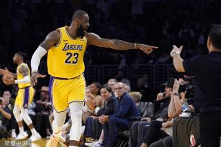 引了媒体的 引了媒体的